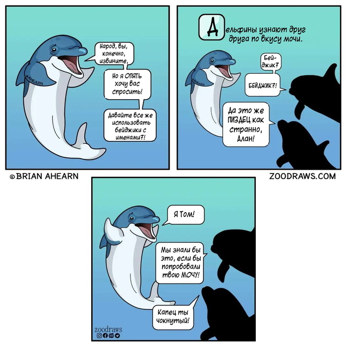 Дельфины Перевел сам, Комиксы, Дельфин, Zoodraws, Мат