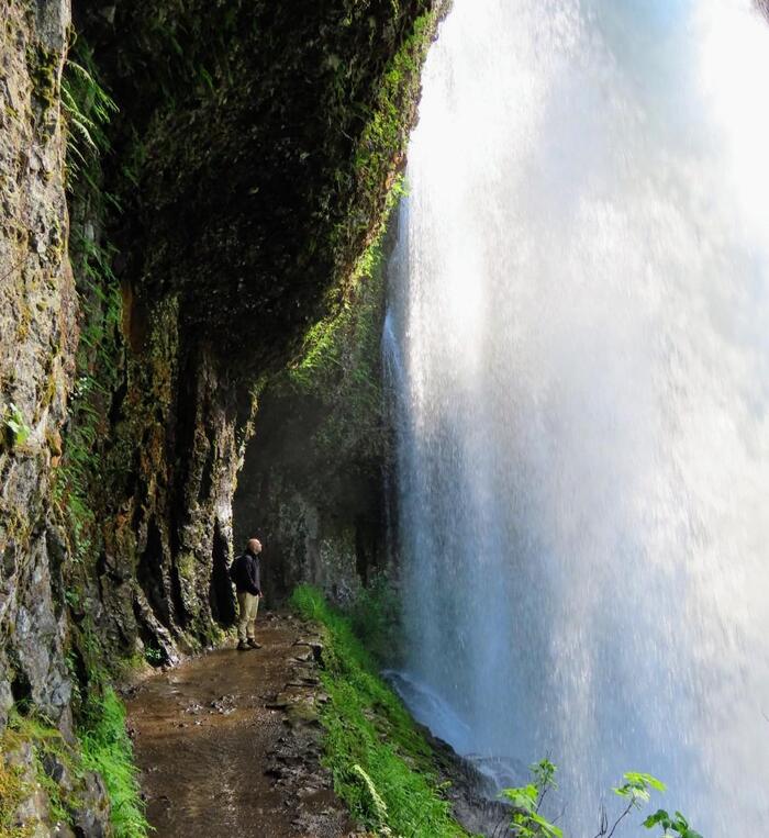 Наверное, Галадриэль фоткала )