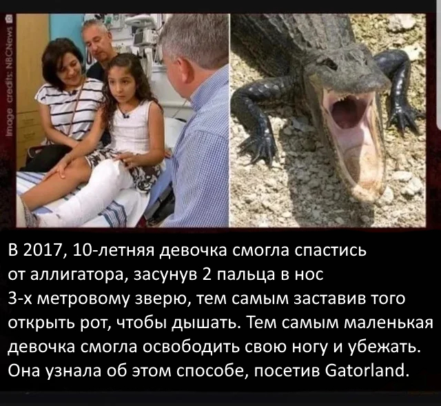 ��� �������� �� ���������