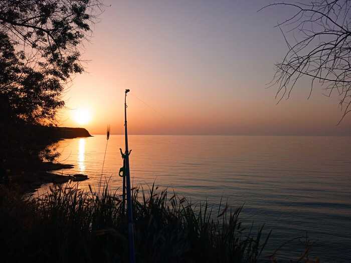 ������� �� ������. ����, ��� ������