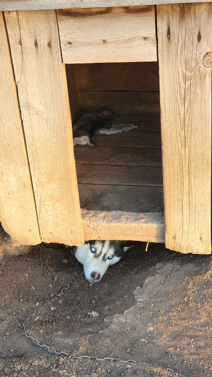 ������ ����...