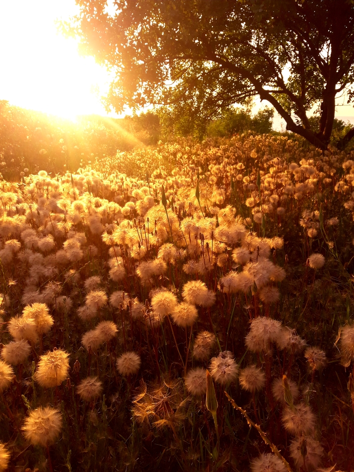 Один день лета