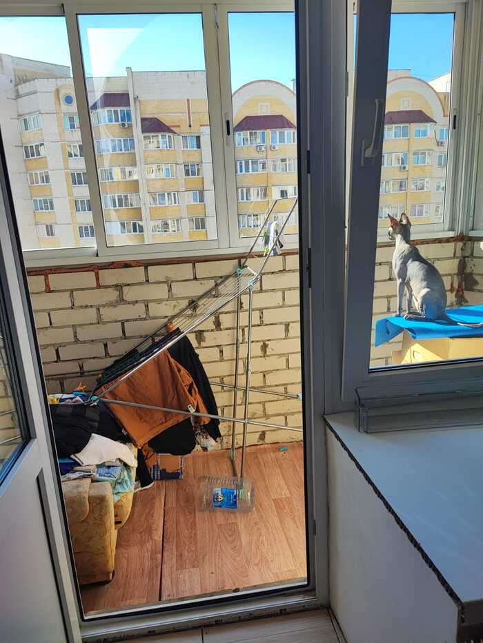 Любуется проделанной работой