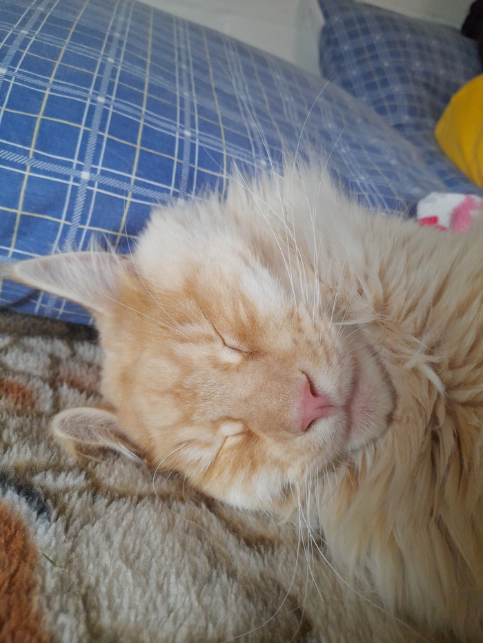    , -, , ,  , 