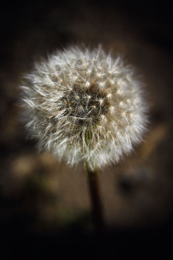   , Canon 1100d, Lightroom, 