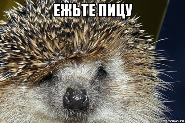   #2:        () , , , , , 