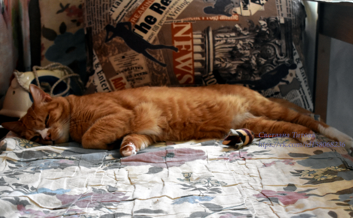 Спит усталая игрушка