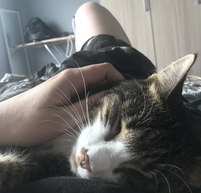 ��� ���, ������ ����!)