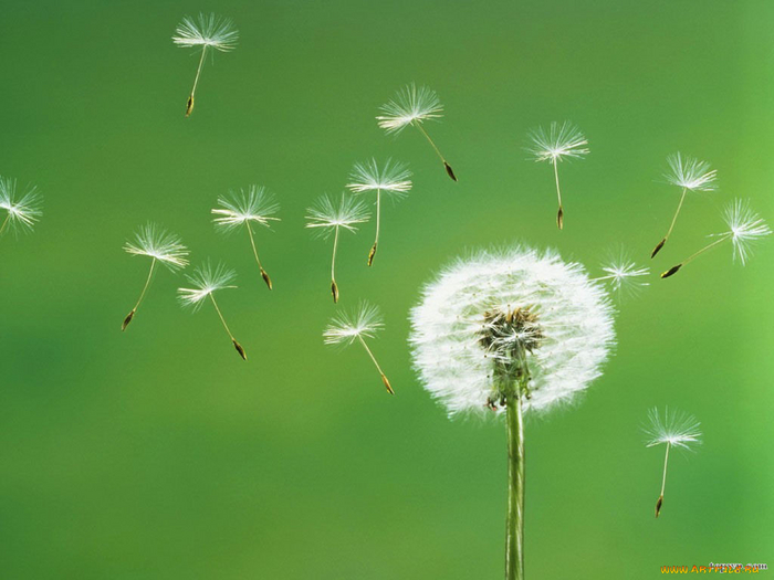 ��� ������ ���������� ��������� �������