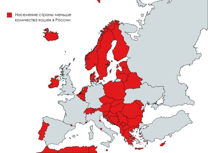 В каких странах Европы живёт меньше людей, чем кошек в России Интересное, Карты, Познавательно, Факты, Европа, Кот