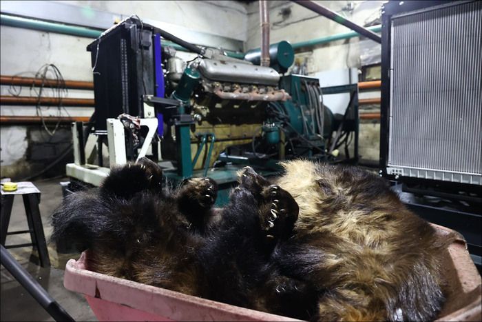 «Арктическая база» без современных технологий: как живут оленеводы Север, Оленевод, Таймыр, Поселок, Видео, YouTube, Длиннопост