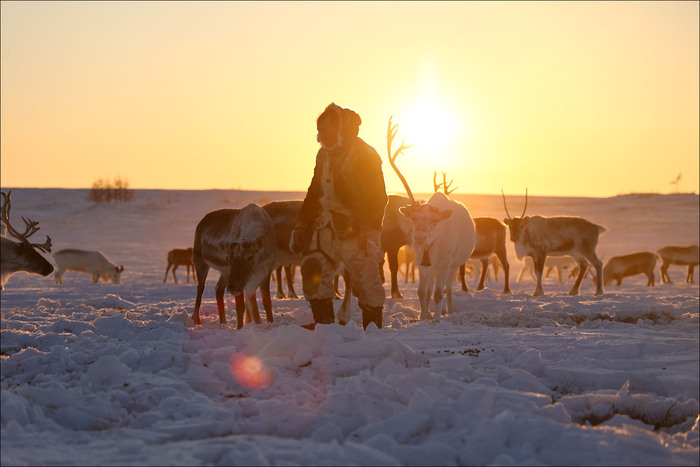 «Арктическая база» без современных технологий: как живут оленеводы Север, Оленевод, Таймыр, Поселок, Видео, YouTube, Длиннопост