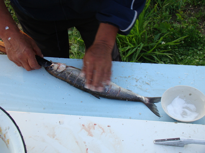 Байкальский вариант блюда "Рыба на рожне" - омуль Приготовление, Рыба, Готовка на костре, Байкал, Длиннопост