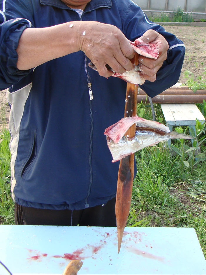 Байкальский вариант блюда "Рыба на рожне" - омуль Приготовление, Рыба, Готовка на костре, Байкал, Длиннопост