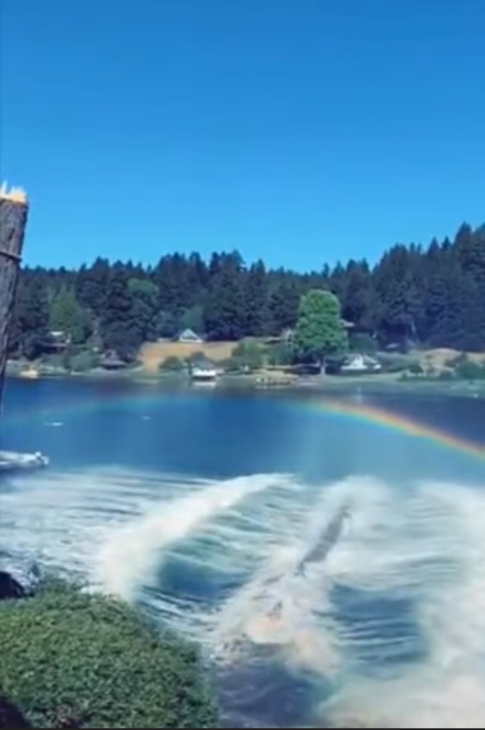 Rainbow , 