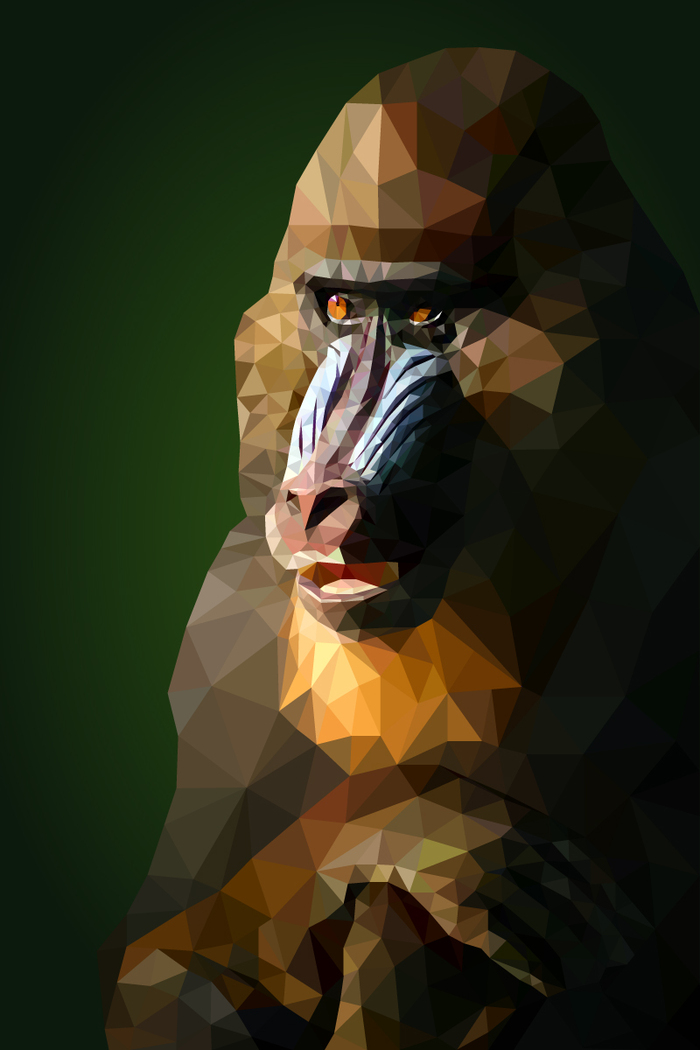  (Low poly) , Adobe Illustrator, , Low poly