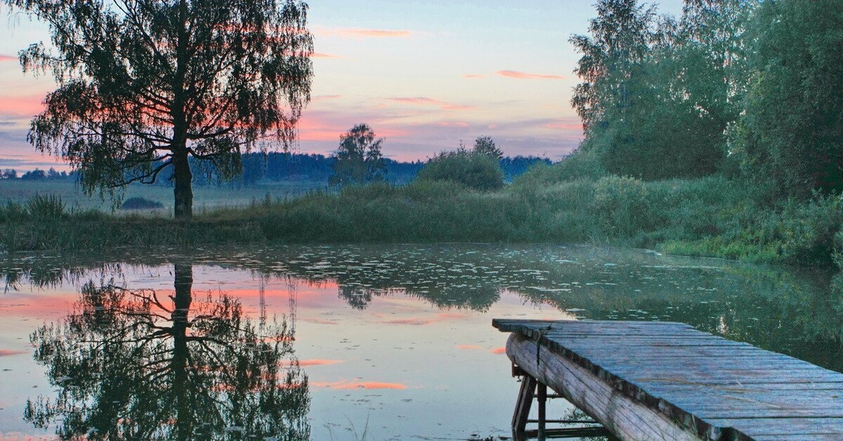 Скромняжка на берегу реки.