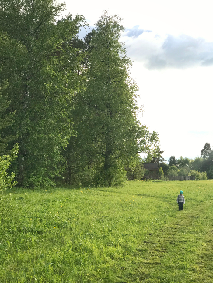 ����� ������� ���� ��������