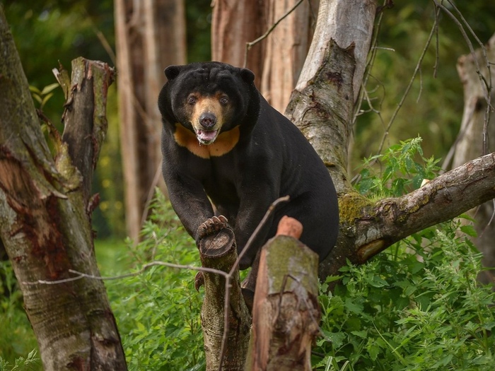 Пойдём ко мне? У меня не все дома