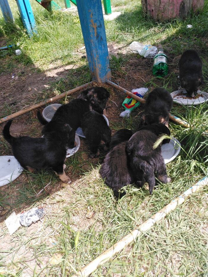 ���� ��� ������