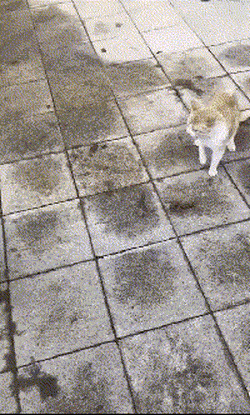      , , , 