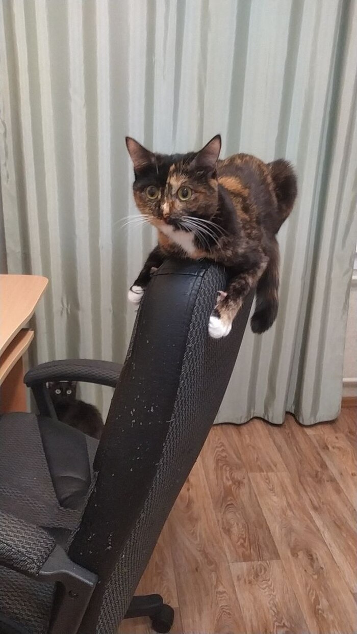 ��� � ���� �� ������?