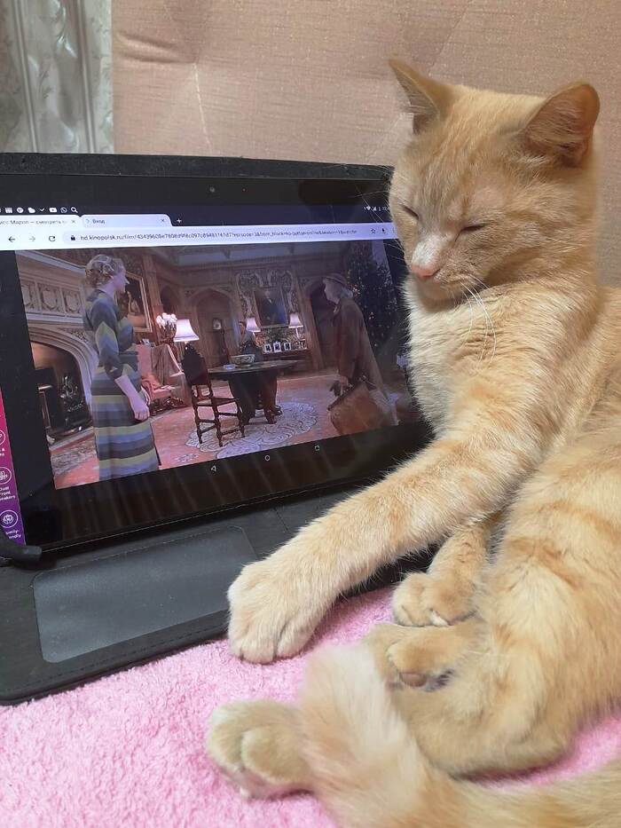 �� ���������...