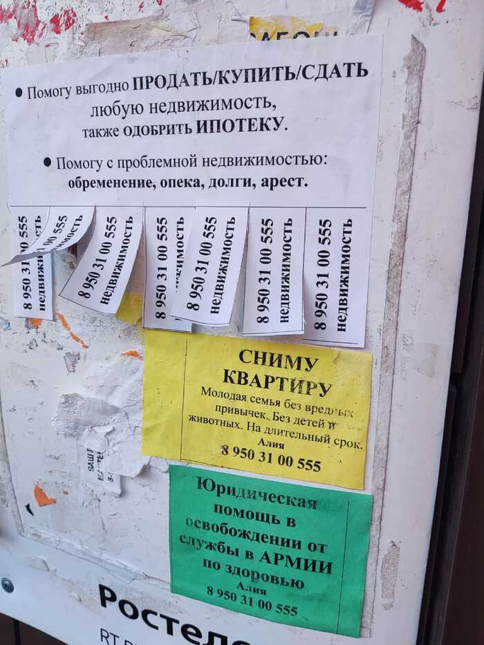 Разносторонняя Алия