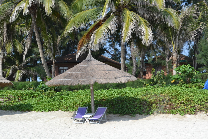 Это вам не это Туризм, Путешествия, Туристы, Вьетнам, Море, Юва, Отпуск, Длиннопост