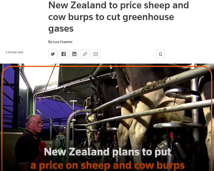 Новая Зеландия вводит налог на пуканье овец и коров Сельское хозяйство, Животноводство, Экология, Новая Зеландия, Метеоризм