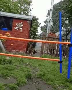      , , , 