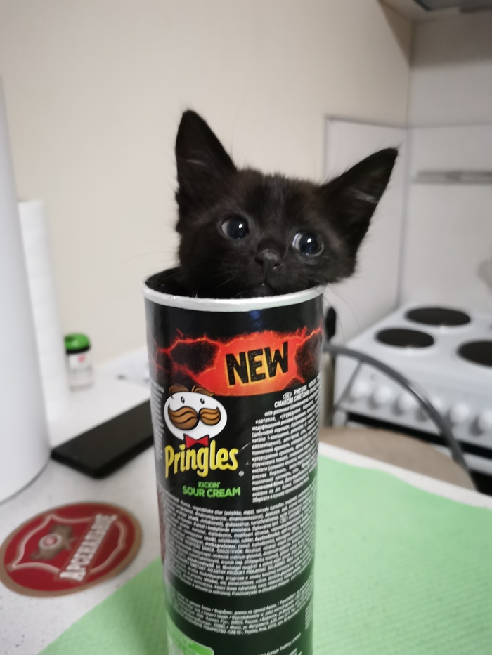  ,  , , , , Pringles