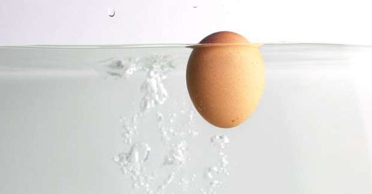 Яйцо поместить в воду. Яйцо плавает в воде. Если яйцо тонет. Плавающее яйцо. Яйца плавают на поверхности.