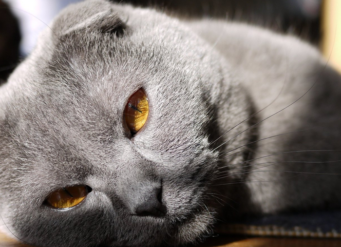 ������� ������ ��� � �����