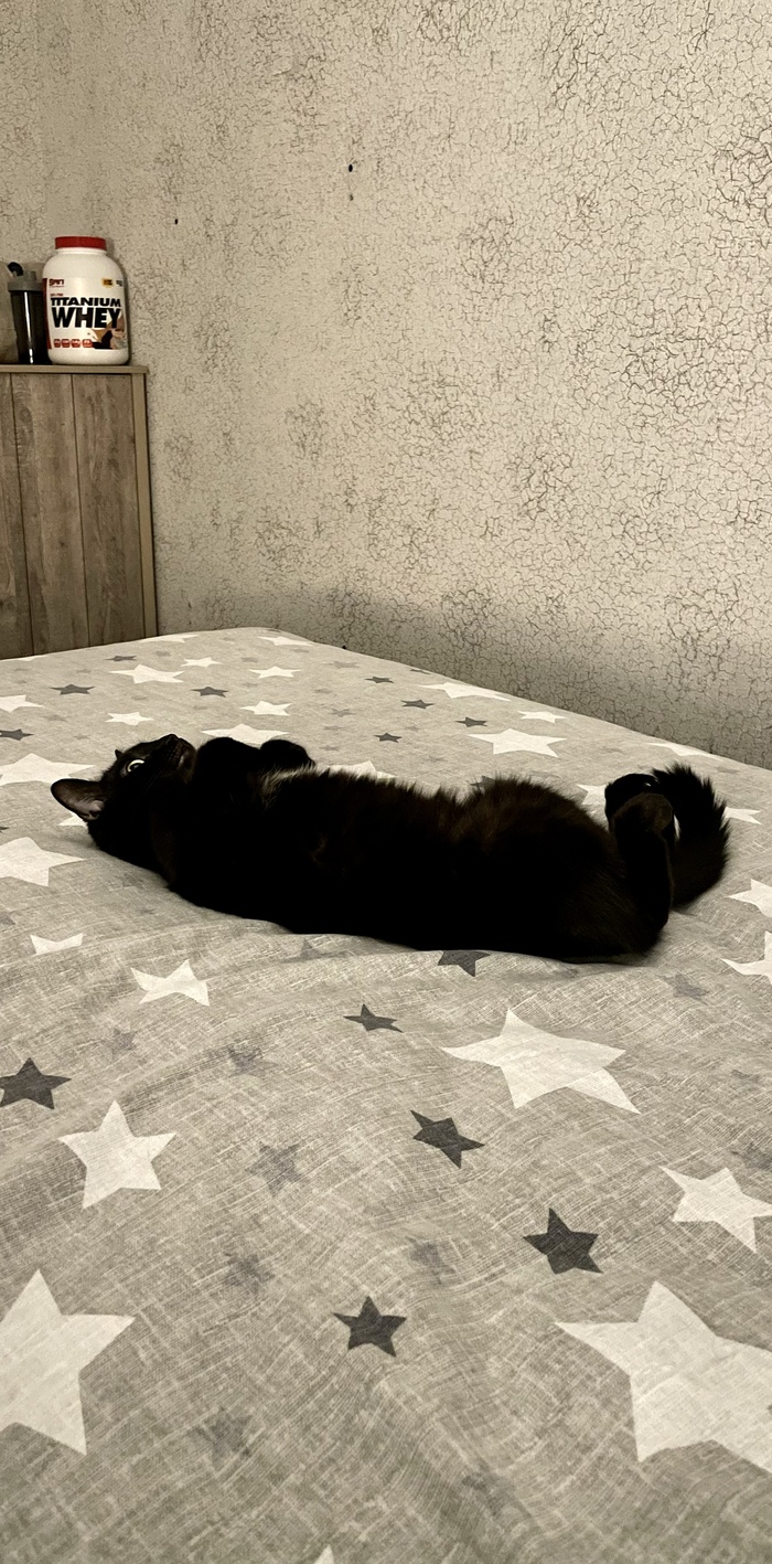 ����� ����� ��� ��������� �����