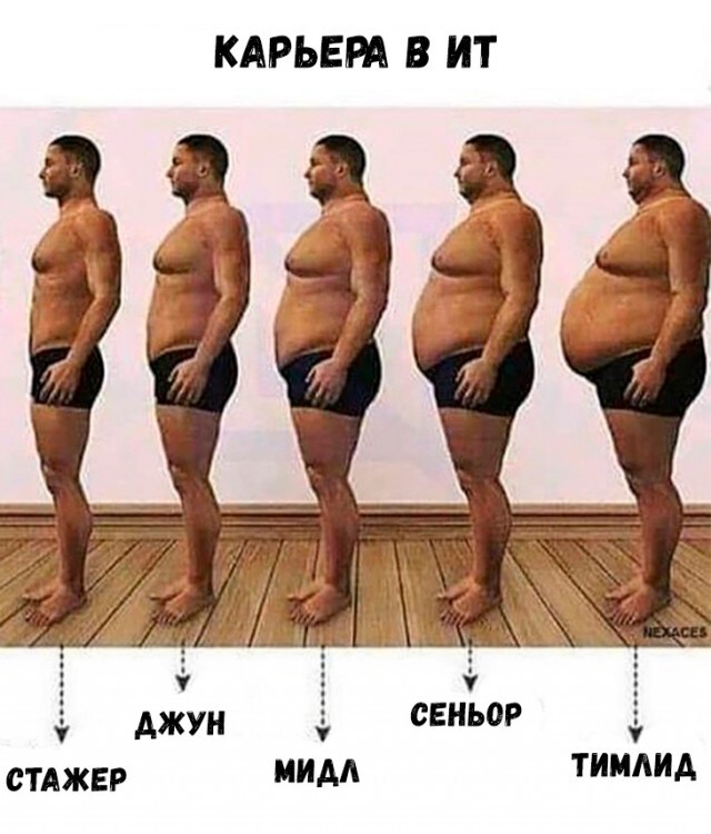 Развитие айтишника: