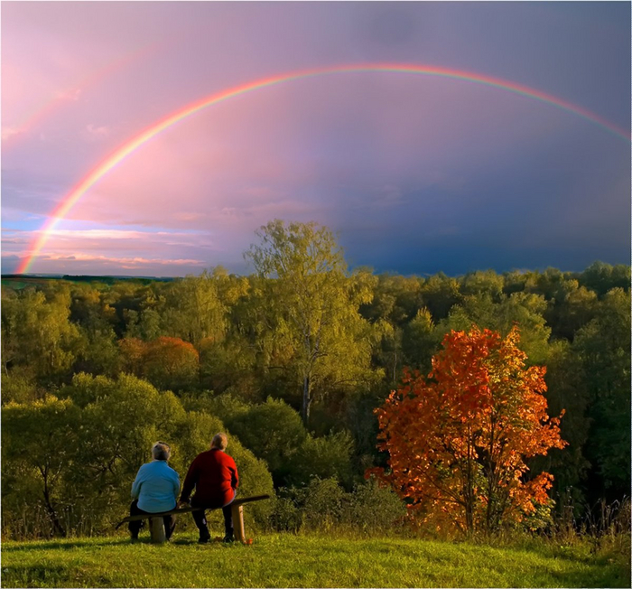 "Прокремлевский информационный пузырь" 142-143. Избранные места из спецоперации