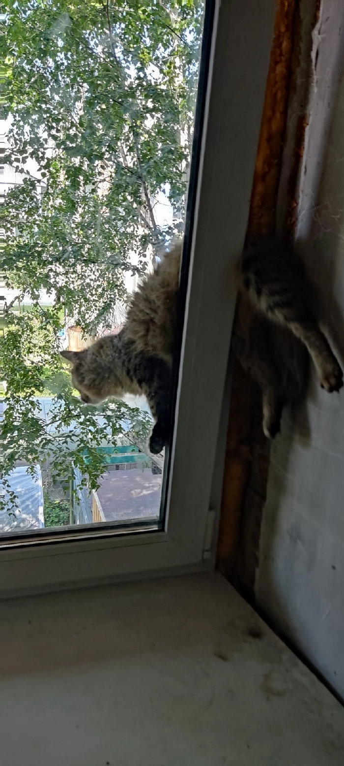 ����� �� ������!