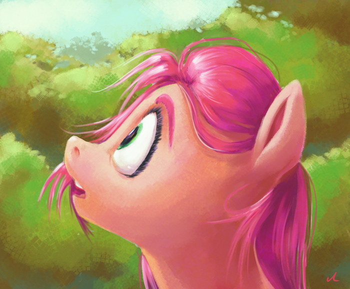  My Little Pony, Sunny Starscout