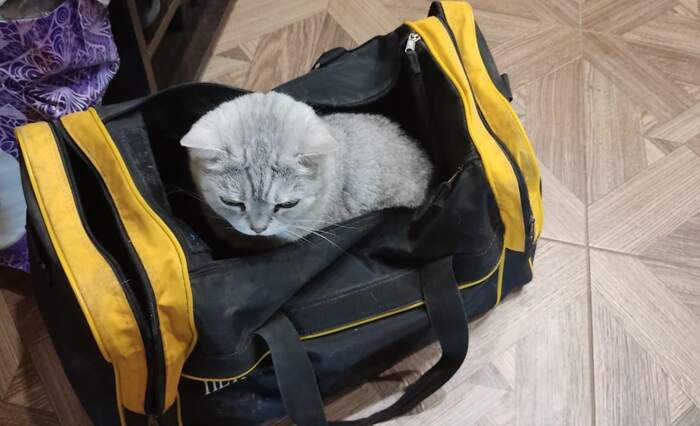 ������ ����� ����������