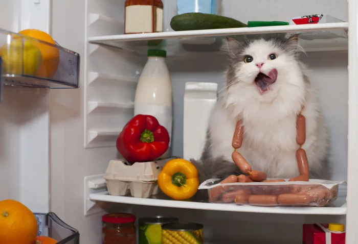 Я и мои ночные попытки похудения