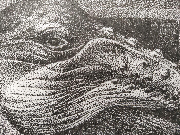  -   ,  -    , , , , , Dotwork, , 