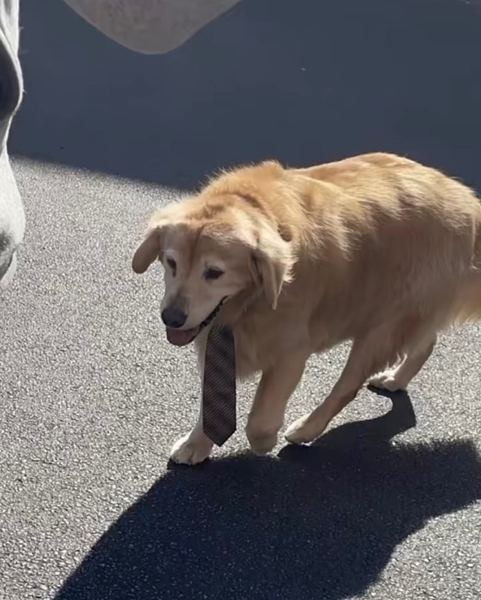 Замучили со своим дресс-кодом