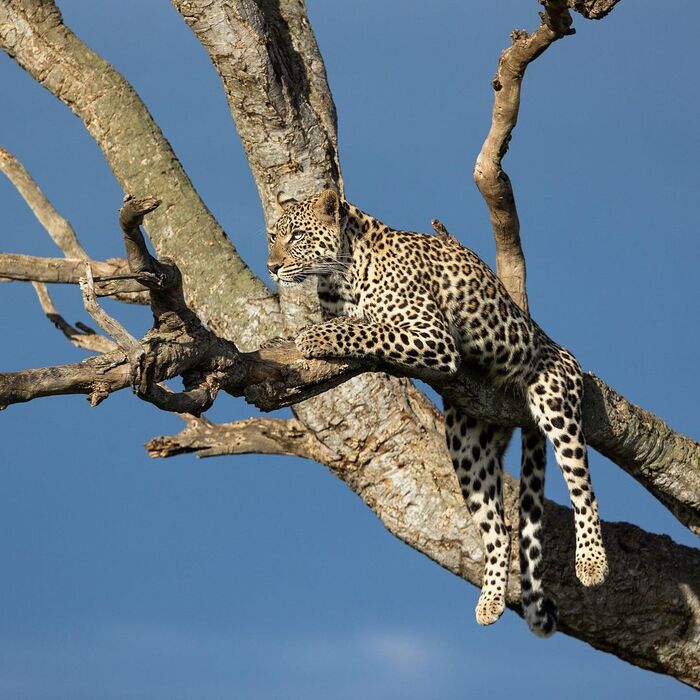 Высоко лежу, далеко гляжу