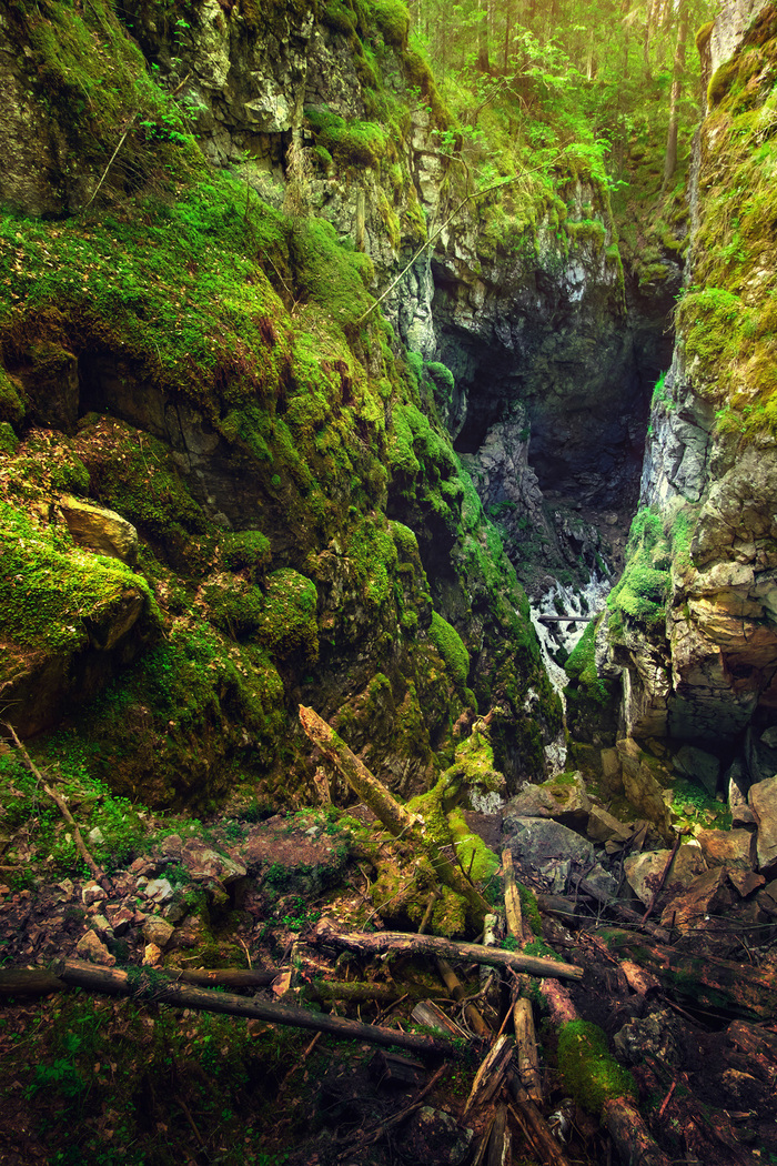 ������ ������� ������