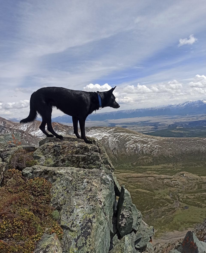 Акташский ретранслятор