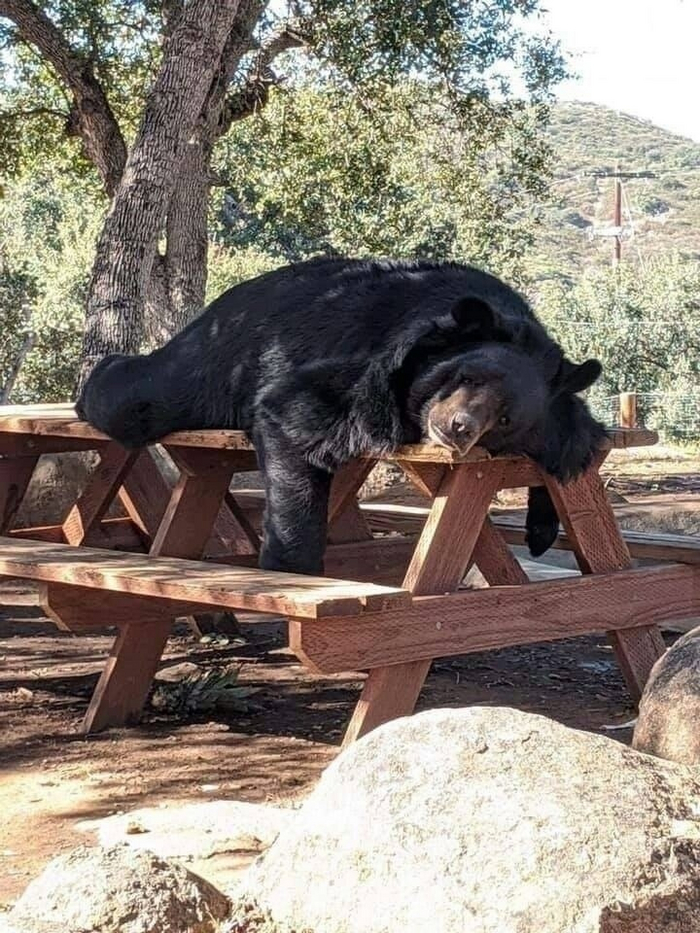 Начало рабочей недели