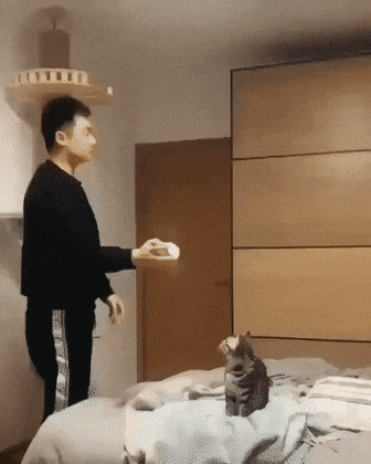      , , , 