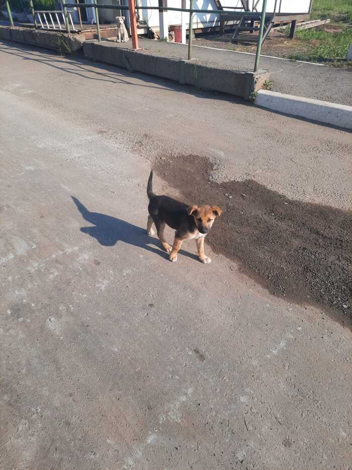     , ,  ,  ,   ,  