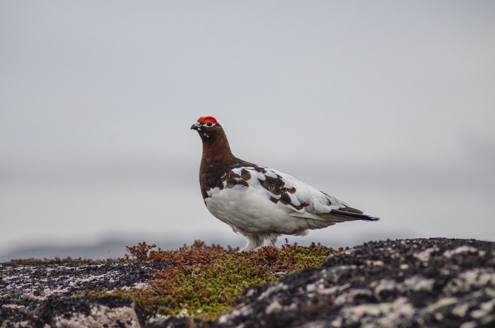 ����� ��������� �� ���������� ����